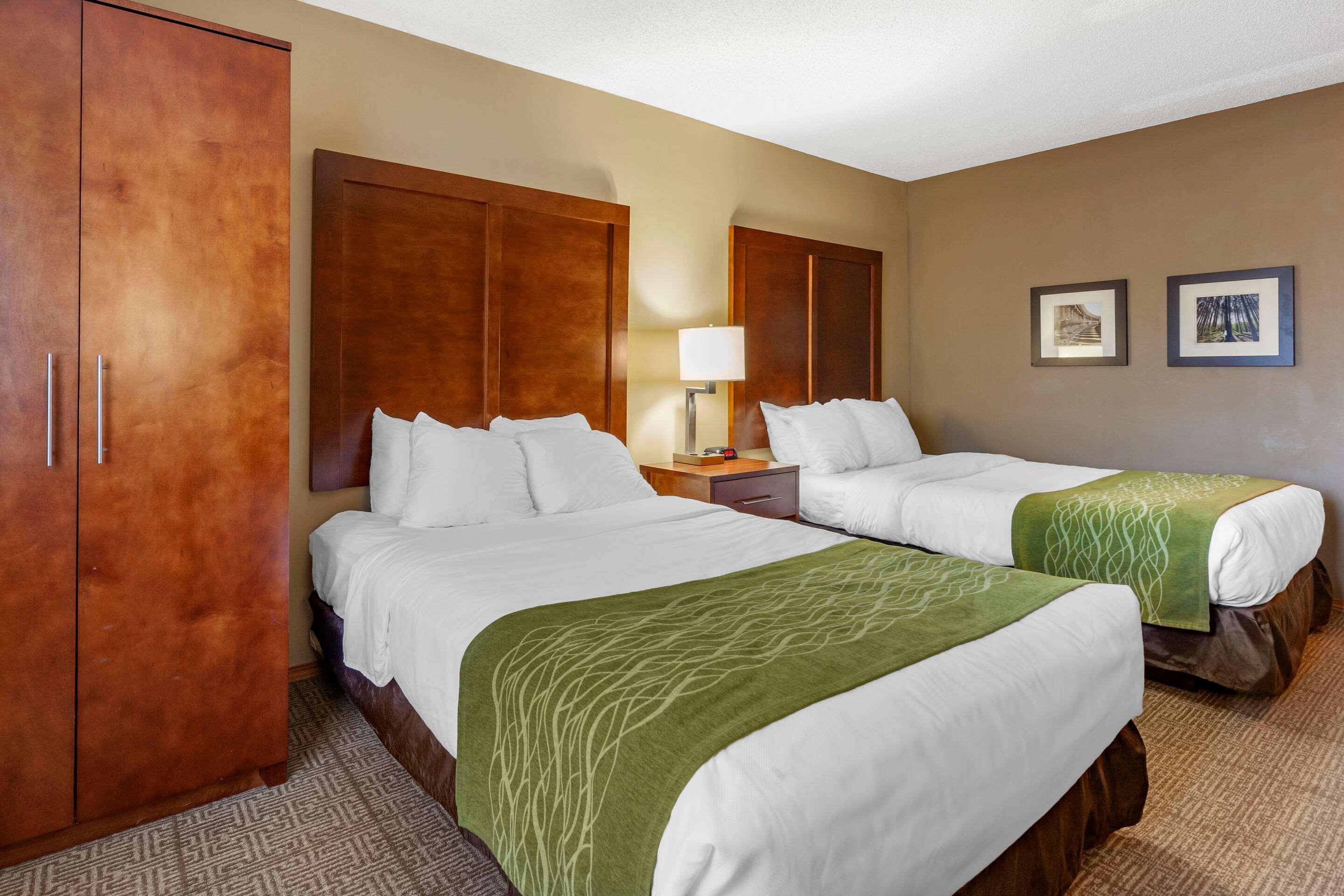 Comfort Estalagem Rhinelander